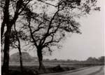 Field, now Crispe Park